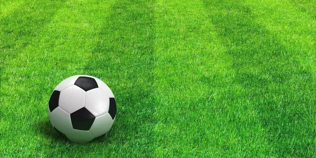 雷速体育推荐平台界面展示